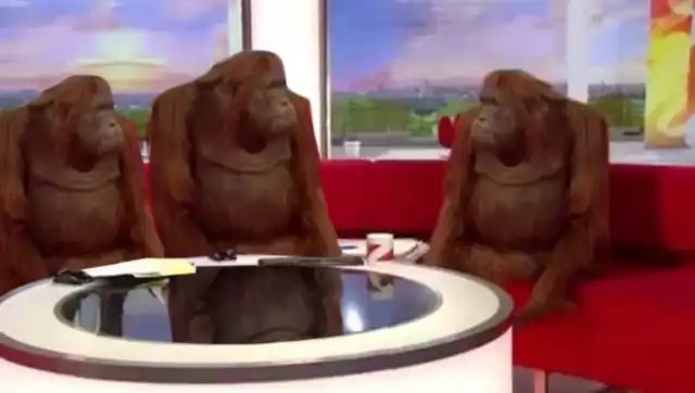 Where Banana meme template