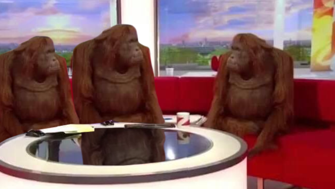 Where Monkey meme template