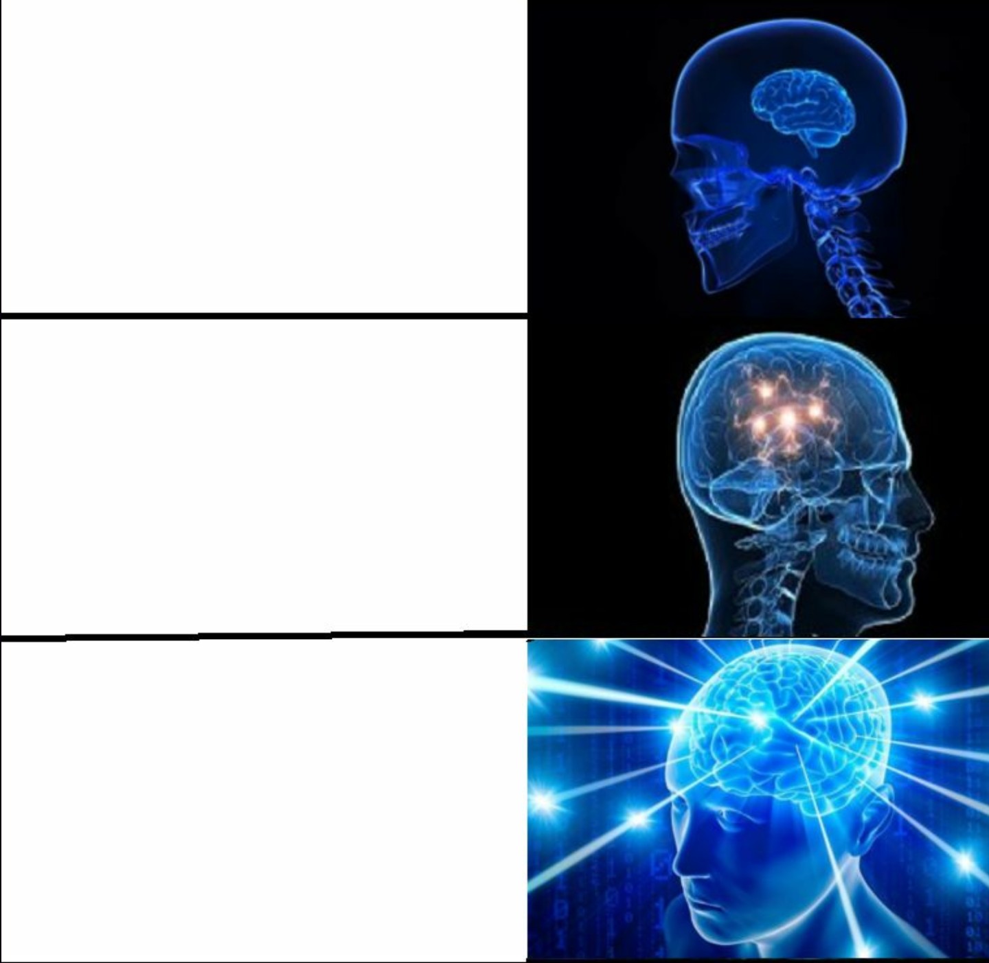 Galaxy Brain 3 Brains meme template