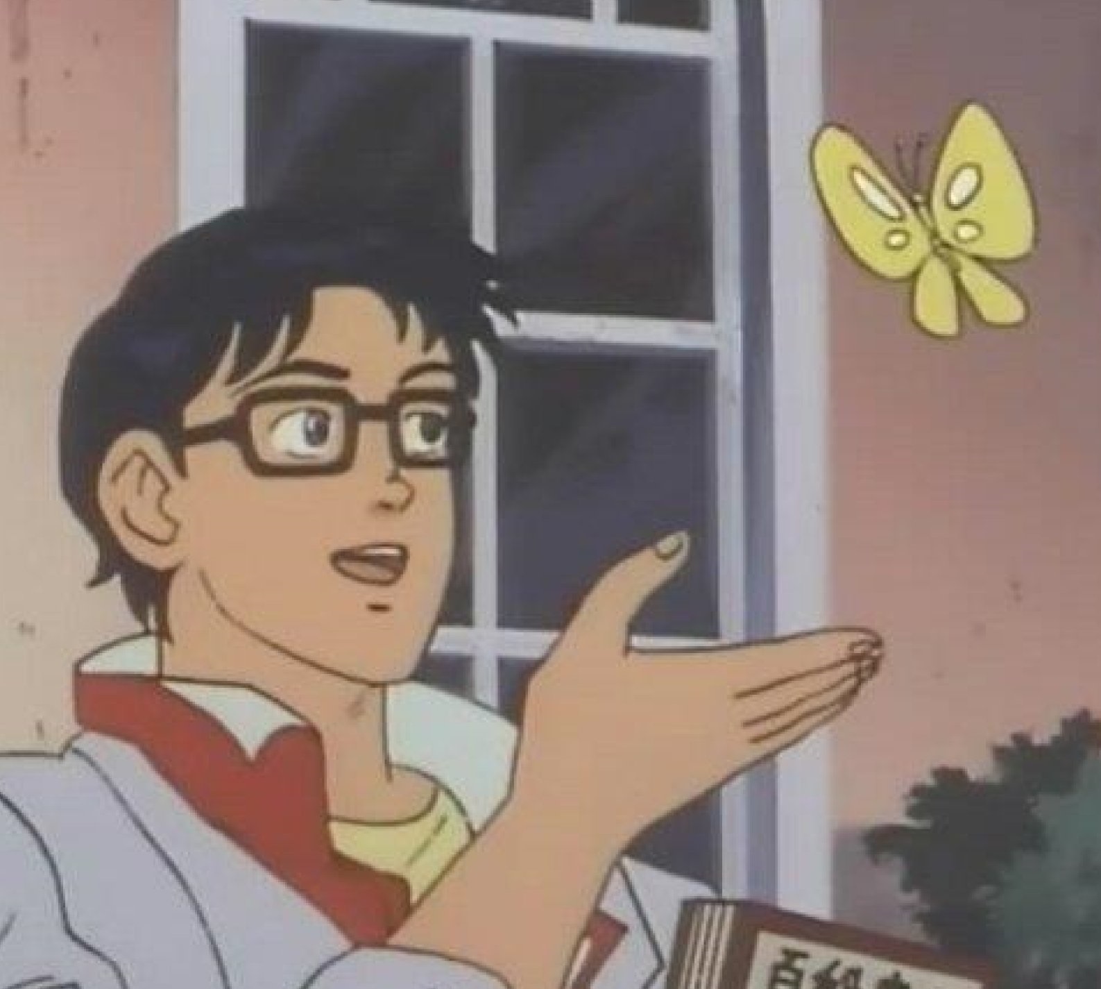 Is This a Butterfly meme template